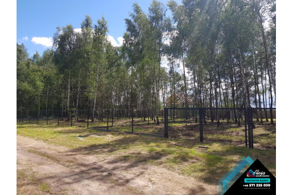 śląskie, kłobucki, Pop&oacute;w, Kamieńszczyzna, Zalesiona działka budowlana w cichej okolicy.