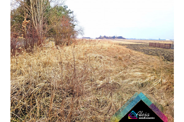 myszkowski, Poraj, Jastrząb, Dom wolnostojący z gospodarstwem 2,5 ha Jastrząb