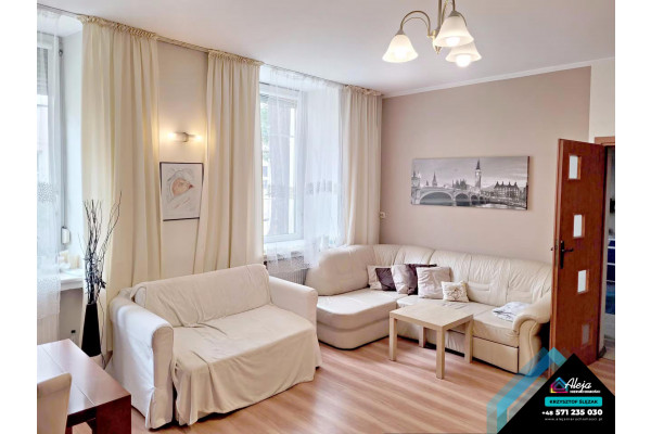 Częstochowa, Jana Kilińskiego, M 3 -109 m2 W centrum miasta.