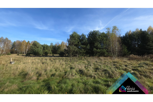 częstochowski, Starcza, Rudnik Mały, szeroka działka pod budowę domu