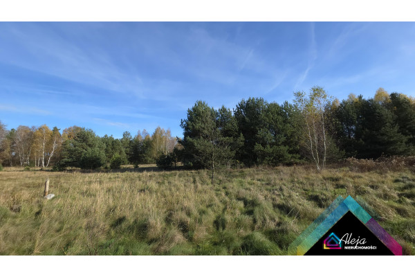 częstochowski, Starcza, Rudnik Mały, szeroka działka pod budowę domu