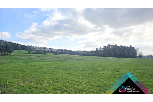 kłobucki, Pop&oacute;w, Rębielice Kr&oacute;lewskie, Nadrzeczna, Własny Kawałek Rancza-Dom- duża działka.Rębielice