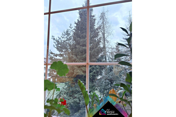 Częstochowa, Bełchatowska, Komfortowe mieszaknie w dzielnicy Lisiniec