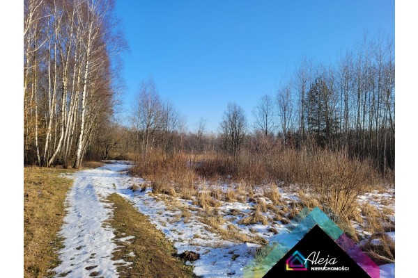 śląskie, częstochowski, Kamienica Polska, Zawada, Duża działka w sąsiedztwie lasu i rozlewiska