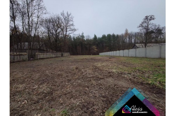 radomszczański, Żytno, Borzyk&oacute;wka, Atrakcyjna działka pod budowę domu
