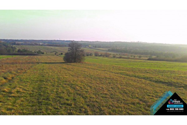 śląskie, częstochowski, Olsztyn, Biskupice, Duża działka z potencjałem