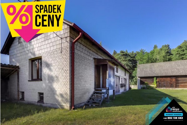 śląskie, częstochowski, Dąbrowa Zielona, Zaleszczyny, Dom z zabudowaniami gospodarczmi, ziemia plus las