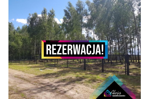 śląskie, kłobucki, Pop&oacute;w, Kamieńszczyzna, Zalesiona działka budowlana w cichej okolicy.